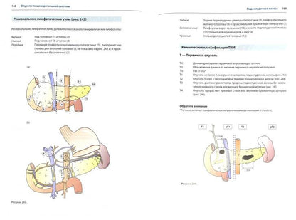 ТНМ Атлас. Иллюстрированное руководство по классификации злокачественных новообразований TNM. Виттекинд Ч.