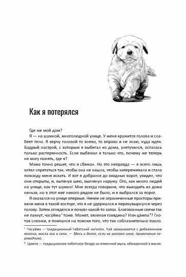 Дава в заснеженных горах