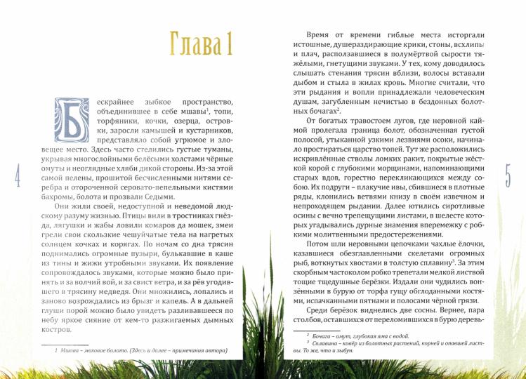 За пеленой Седых болот. Повесть-фэнтези для детей