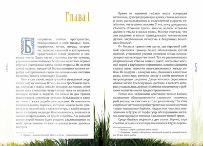 За пеленой Седых болот. Повесть-фэнтези для детей