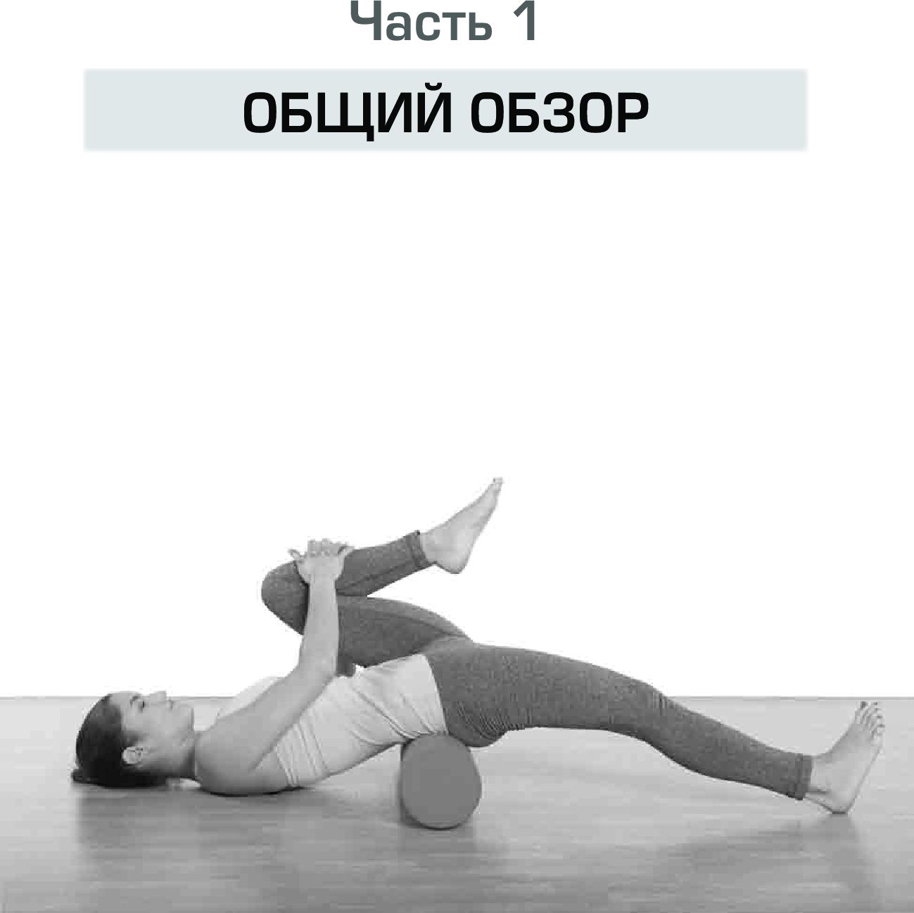 Поясница. Здоровье и гибкость