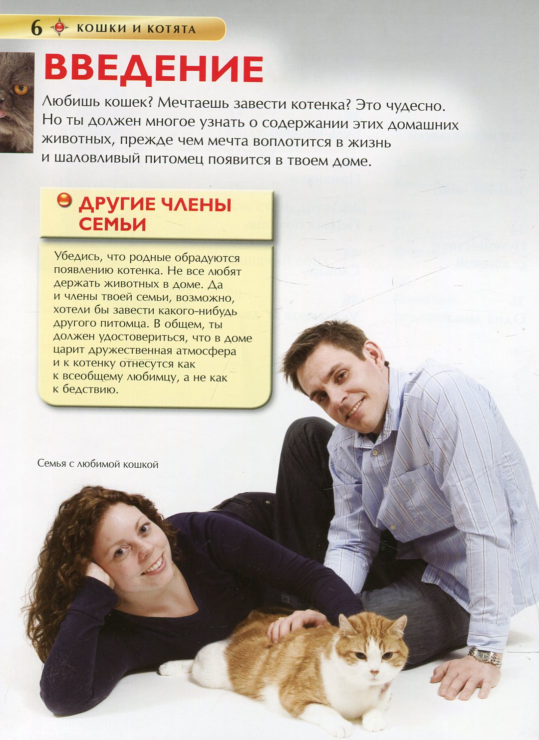 Кошки и котята. Детская энциклопедия