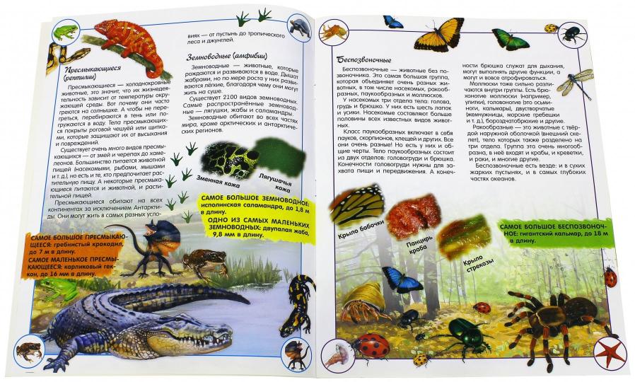 Наша планета. Животные