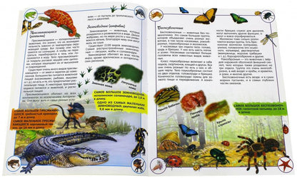 Наша планета. Животные