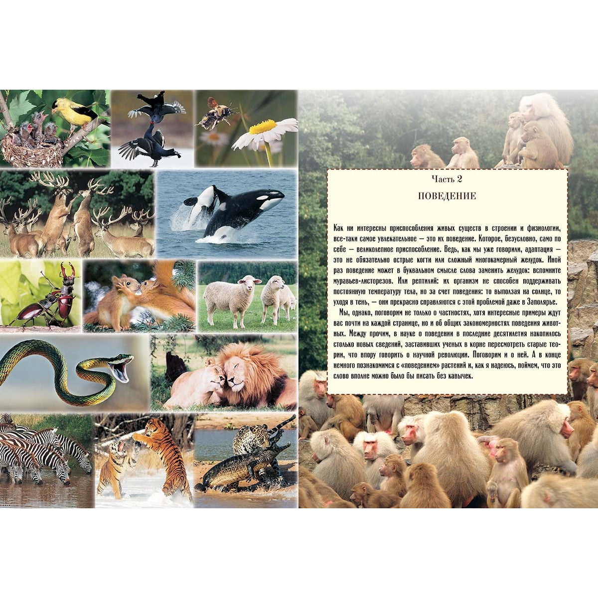 Biologie biologique avec soins et résolution