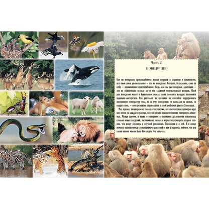 Biologie biologique avec soins et résolution