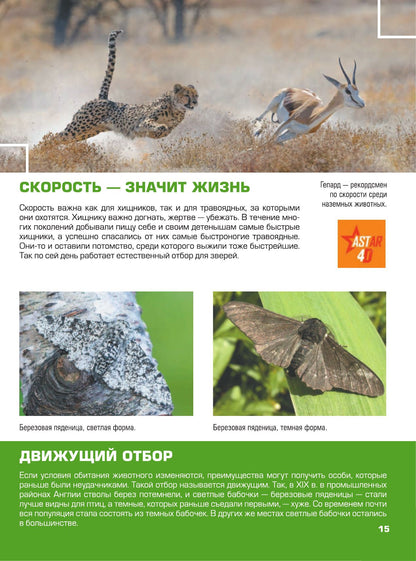 Гигантская детская 4D энциклопедия