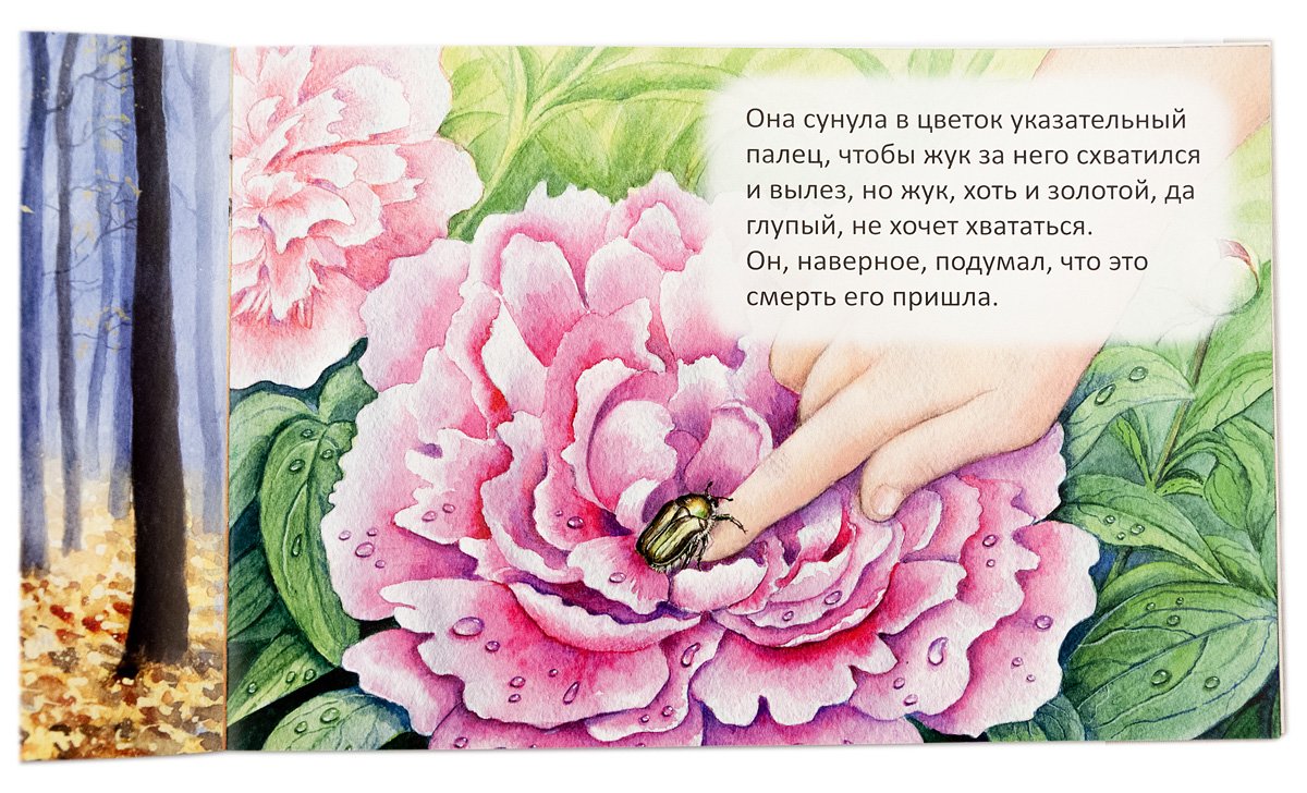 Благодарю Брейэр Станислав