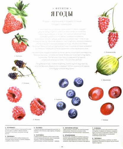 П.Такая красивая еда