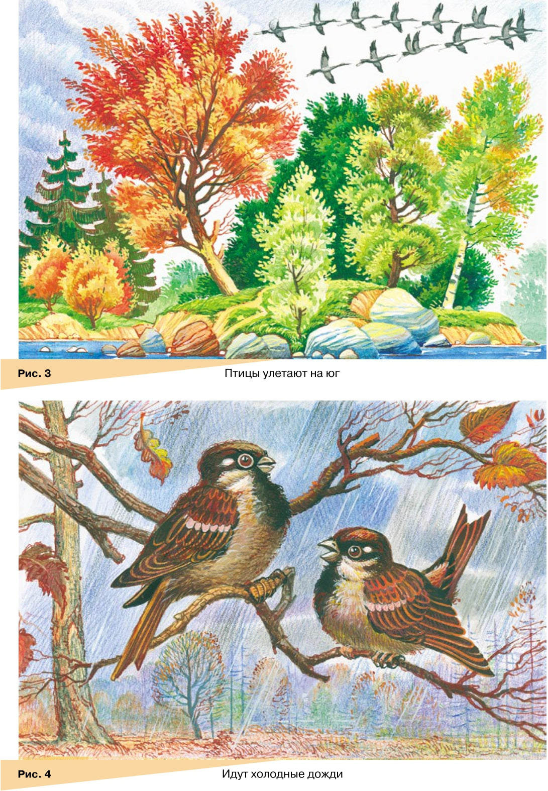 Занимаемся вместе. Старшая логопедическая группа. Домашняя тетрадь №1. ФГОС.