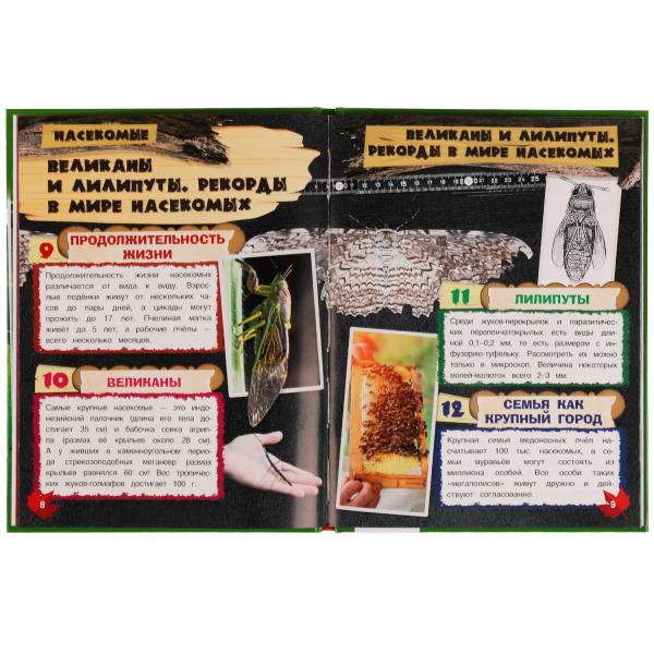 Насекомые. И.Я.Павлинов. 100 фактов. Энциклопедия с развивающими заданиями. 48 стр. Умка в кор.22шт