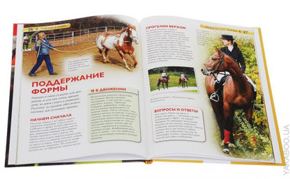 Лошади и пони. Детская энциклопедия