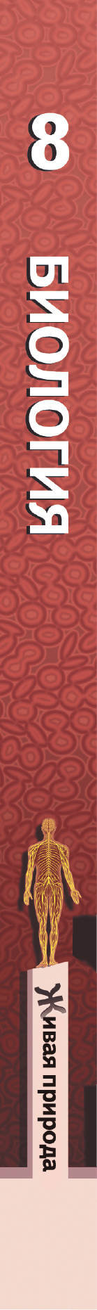 Биология. 8 класс. Учебник.