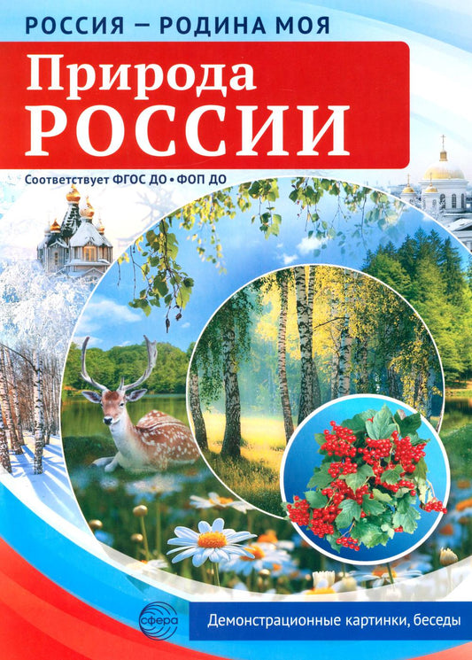Россия - родина моя. Природа России. 10 демонстрационных картинок А4 с беседами В ПАПКЕ