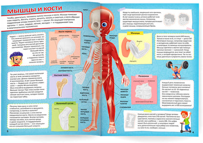 Атлас с наклейками. Тело человека. 21х29,7 см. 16 стр. ГЕОДОМ