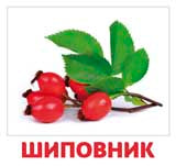 Ягоды
