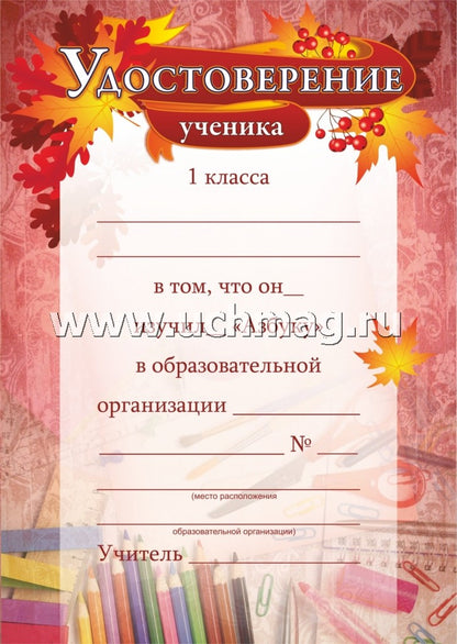 Удостоверение ученика 1 класса об изучении "Азбуки". (Формат А5, бумага мелованная пл.250)