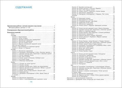 Развитие речи в детском саду. 6-7 лет. Конспекты занятий. ФГОС