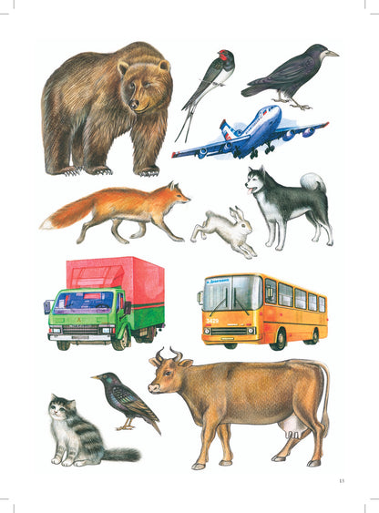 Картинный материал к речевой карте ребенка с общим недоразвитием речи ( от 4 до 7 лет). ФГОС