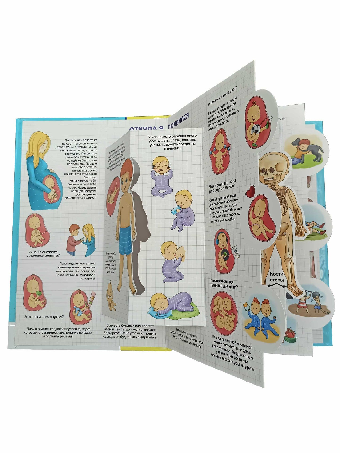 Энциклопедия 3Д СЕКРЕТЫ ЧЕЛОВЕКА твёрдый