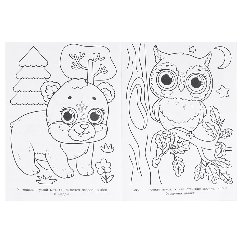 100 животных. Супер-раскраска. 205х280 мм. Скрепка. 64 стр. Умка в кор.30шт