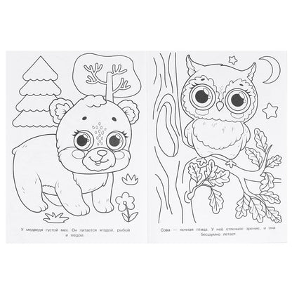 100 животных. Супер-раскраска. 205х280 мм. Скрепка. 64 стр. Умка в кор.30шт