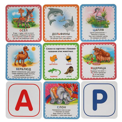 Азбука животных. М.Дружинина. QI чемоданчик. 35 cartes dans une voiture. Умные игры в кор.12шт