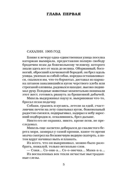 Сонька Золотая Ручка - 3. Продолжение легенды