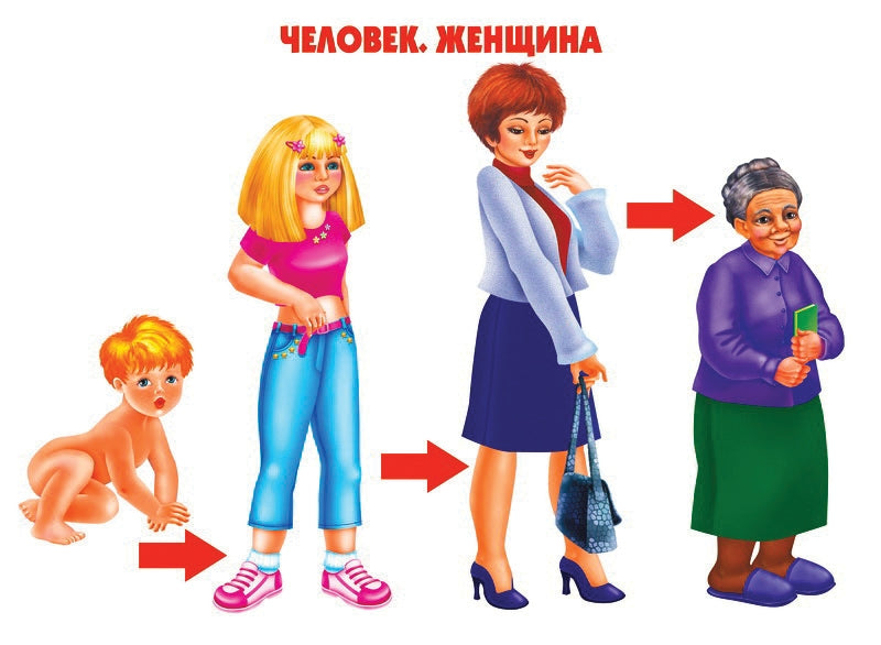 Игра Как растет живое (Весна-дизайн)