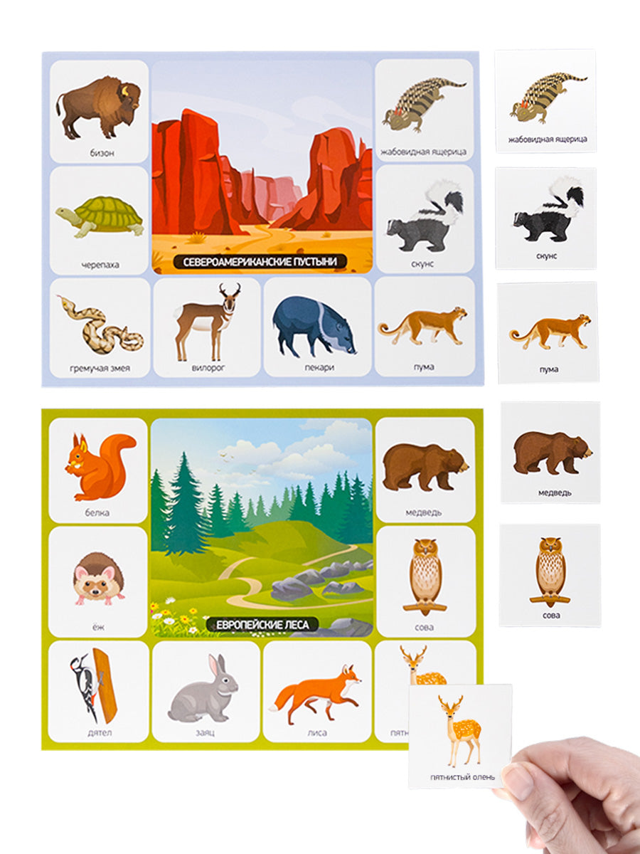 Лото "Зоопарк" (большое)