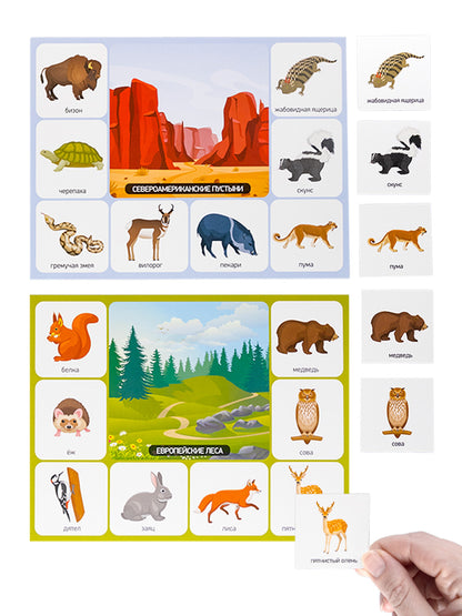 Лото "Зоопарк" (большое)