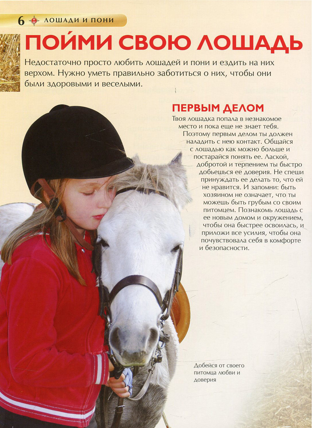 Лошади и пони. Детская энциклопедия