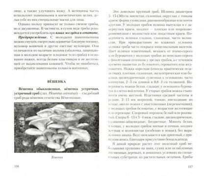 Грибы - природное лекарство