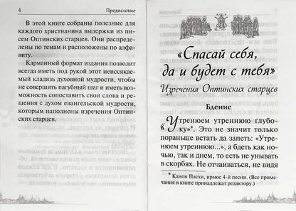 Спасай себя, да и будет с тебя. Изречения Оптинских старцев