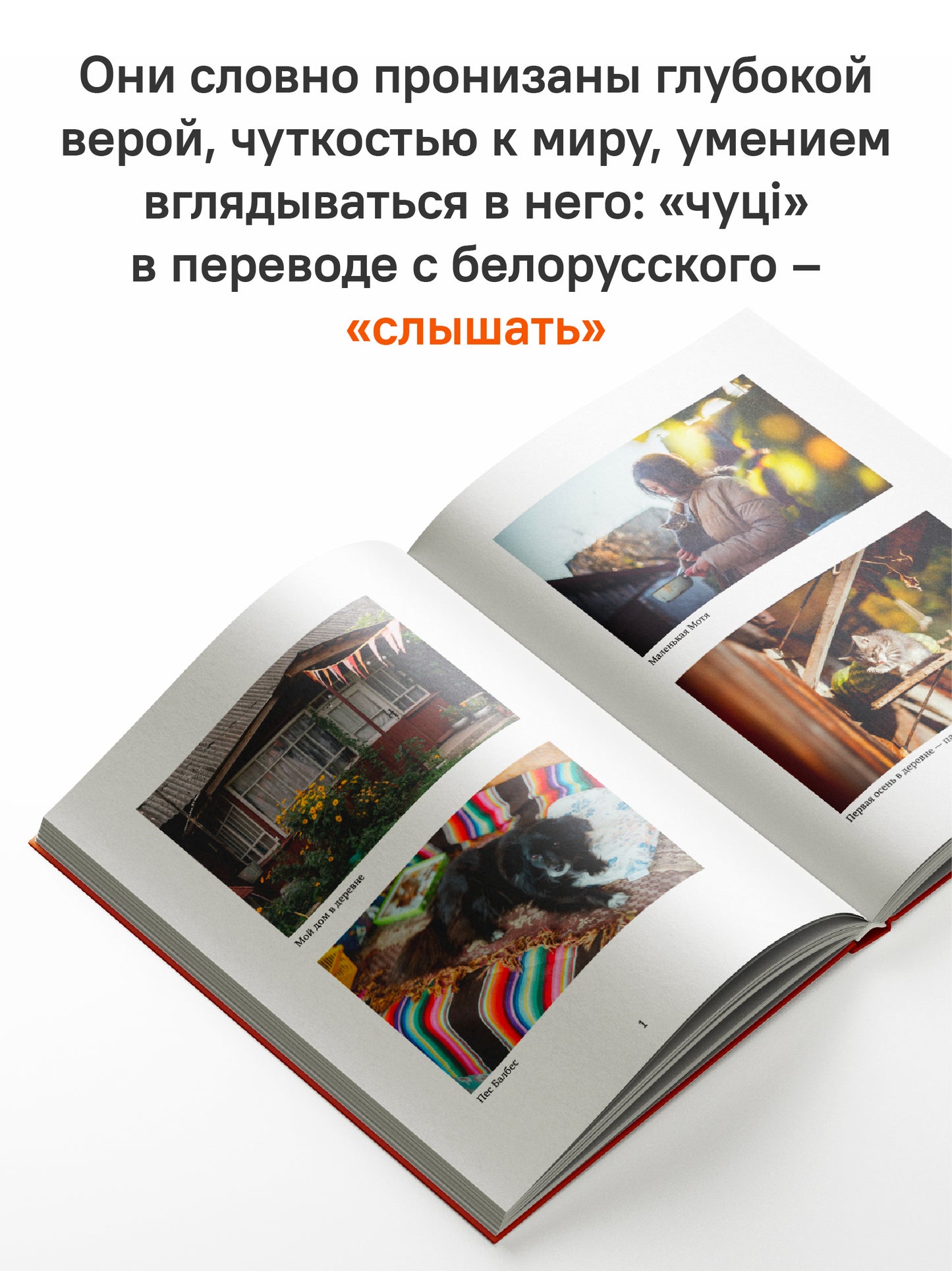 Все живое живет любовью. Как найти радость в каждом дне