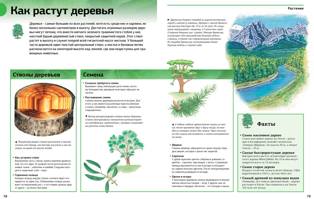 Новая энциклопедия школьника