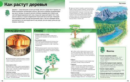 Новая энциклопедия школьника