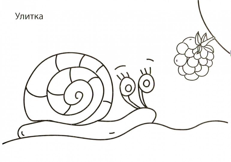 РАСКРАСКИ А5 эконом. альбомные. ЖИВОТНЫЕ