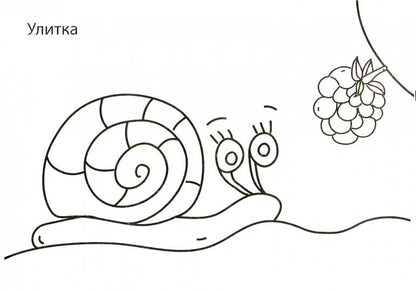 РАСКРАСКИ А5 эконом. альбомные. ЖИВОТНЫЕ