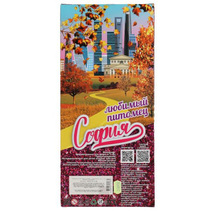 Кукла 29см София в с питомцем,с акс,руки и ноги сгибаются в кор КАРАПУЗ в кор.24шт