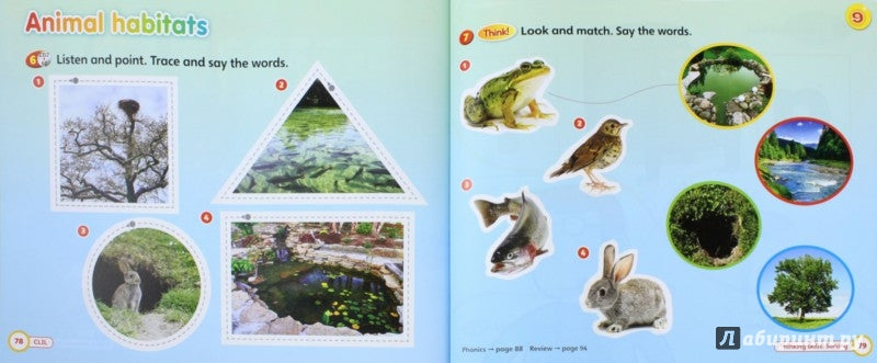 Super Safari 2 (British) Pupil's+Activity Book+CD+DVD