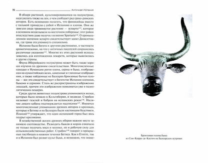 Античная Испания для образования в римских провинциях