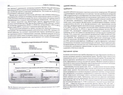 Патофизиология крови: монография