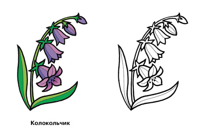 Раскраска. Цветы. 2-4 года