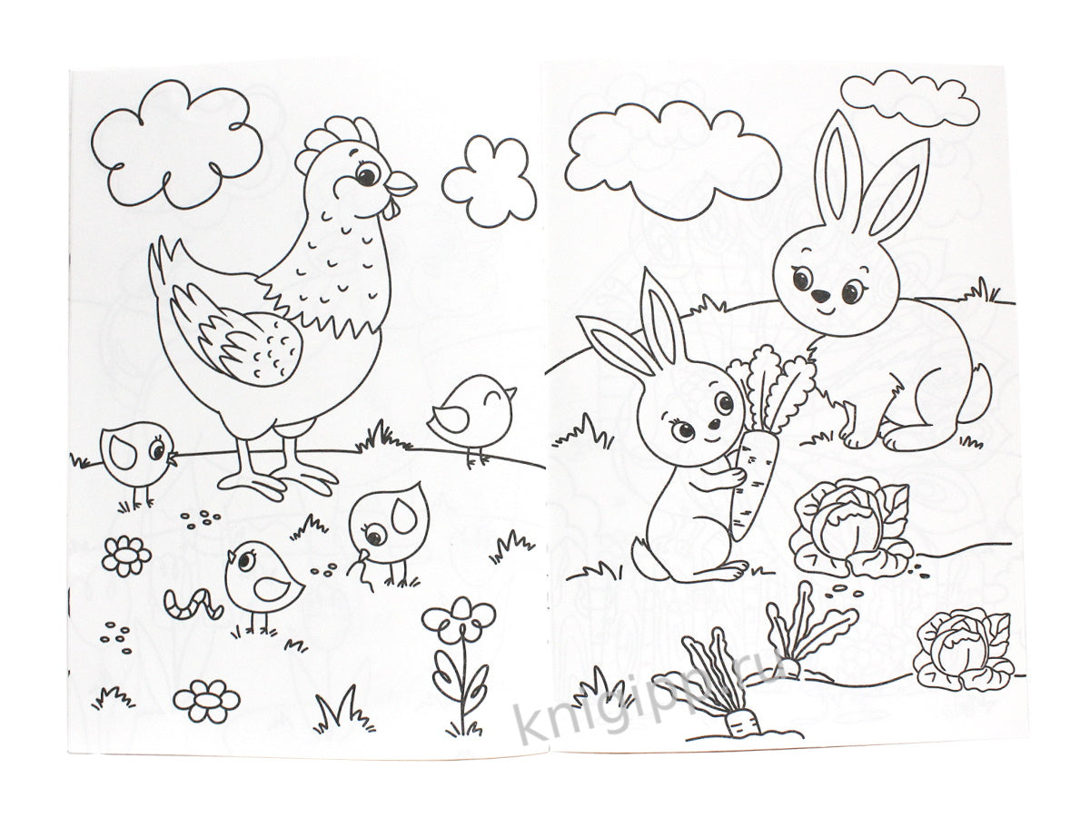 РАСКРАСКА А4 эконом. КТО ЖИВЁТ НА ФЕРМЕ?