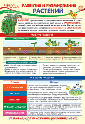 ПО-13972 Плакат А3. Окружающий мир в начальной базе. Развитие и размножение растений