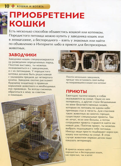 Кошки и котята. Детская энциклопедия