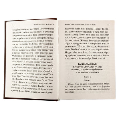 Псалтирь чтомая по усопшим. Каноны, молитвы, лития и панихида