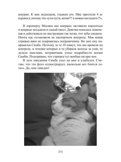 Кот, Домовой и Василий Иванович