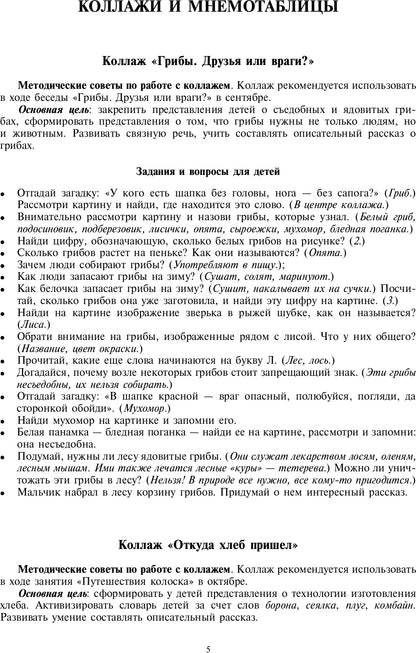 Добро пожаловать в экологию! Дидактический материал для работы с детьми 5-6 лет. Старшая группа. Коллажи, мнемотаблицы, модели, пиктограммы.ФГОС